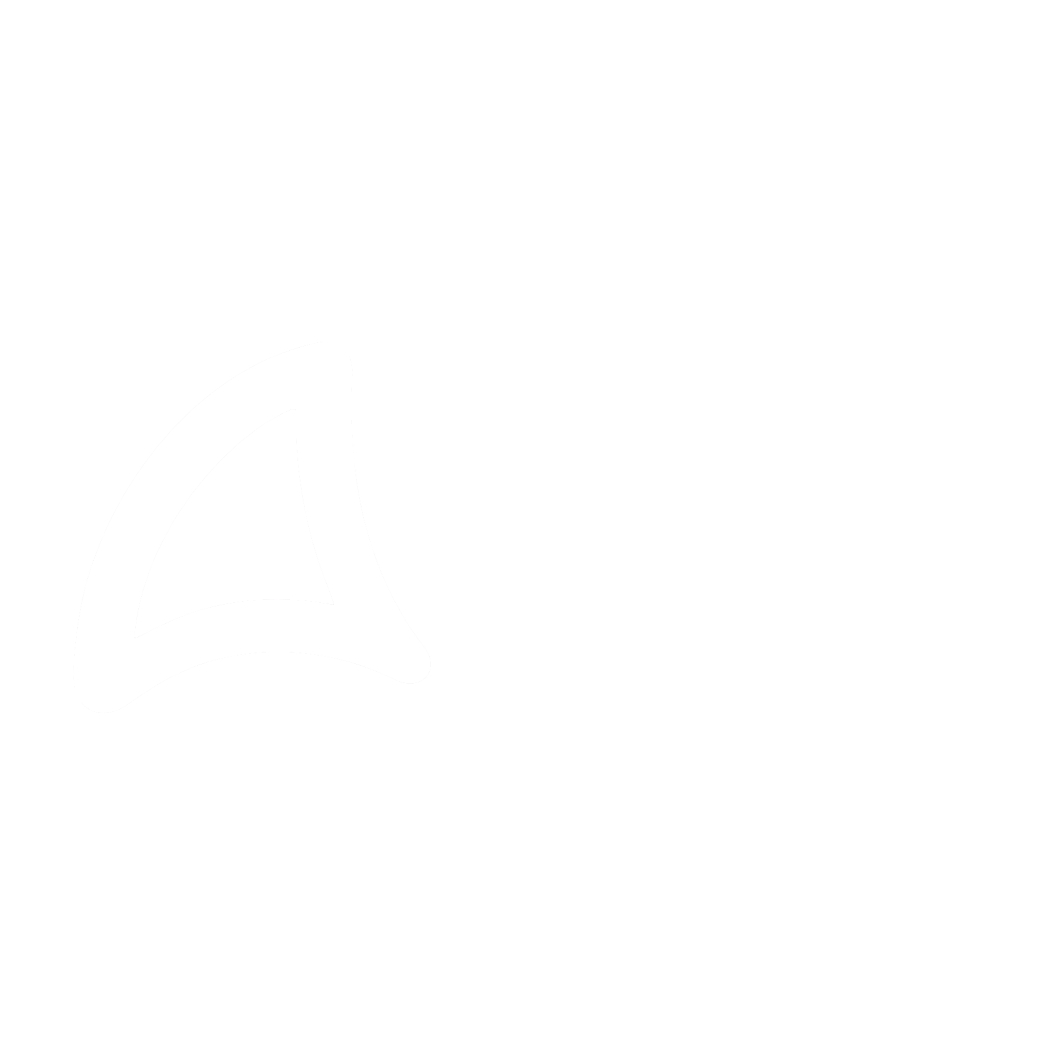 Avantis Company